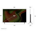 LG 樂金 OLED55B5PCA 55吋 OLED AI B5 4K 智能電視